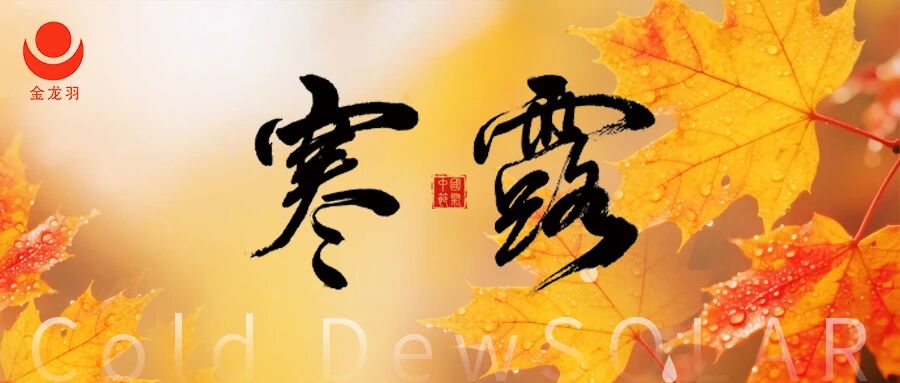 寒露丨寒露惊晚秋，露浓万物藏